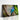 Spangled Cotinga Blue Bird